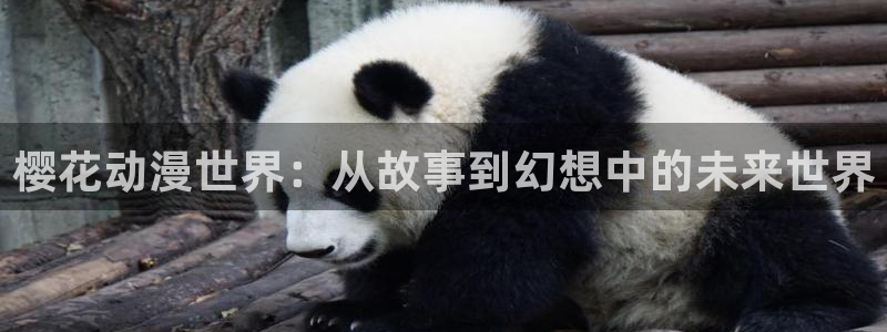 里番库_里番动漫：樱花动漫世界：从故事到幻想中的未来世界