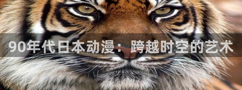 里番动漫网页入口：90年代日本动漫：跨越时空的艺术
